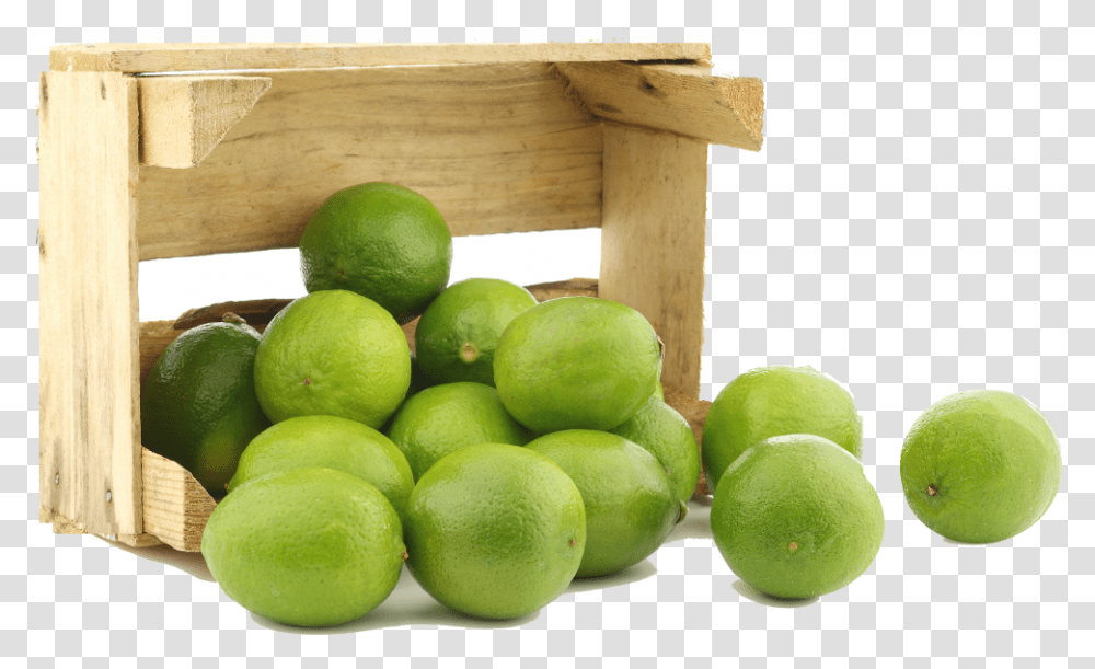 Lime, Citrus Fruit, Plant, Food, Tennis Ball Transparent Png