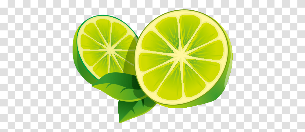 Lime Clip Art, Citrus Fruit, Plant, Food, Lemon Transparent Png