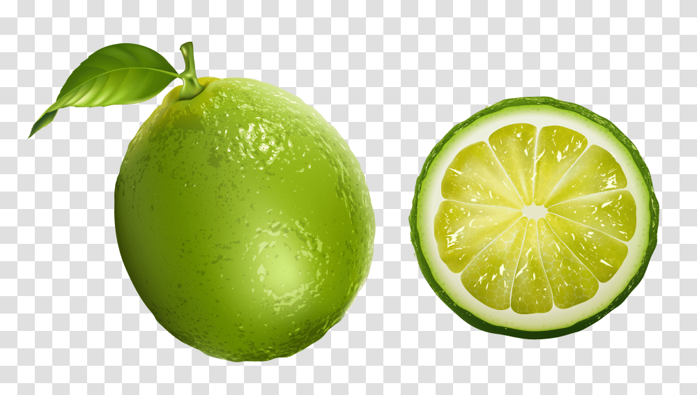 Lime Clipart, Citrus Fruit, Plant, Food, Tennis Ball Transparent Png