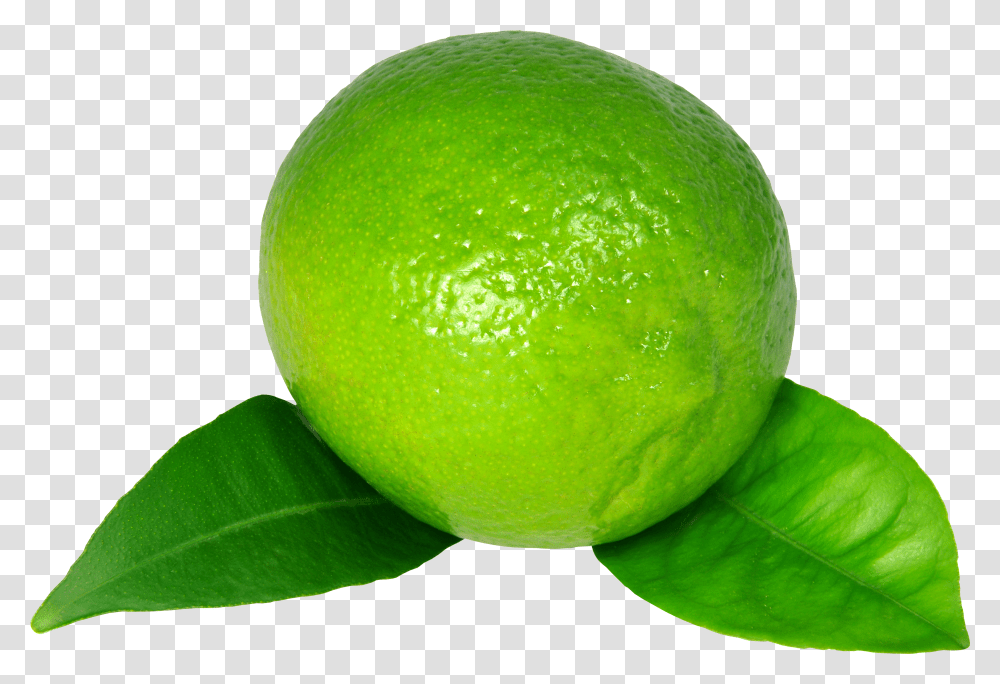 Lime Clipart Green Lemon High Resolution Transparent Png