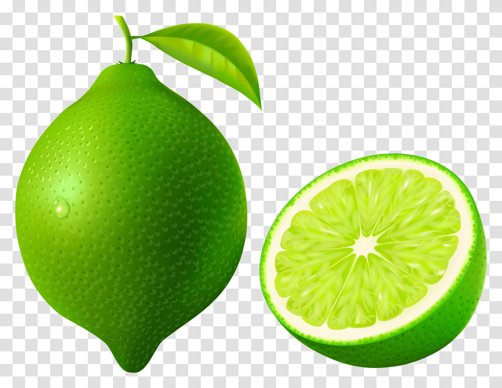 Lime Clipart Lime Clipart Transparent Png