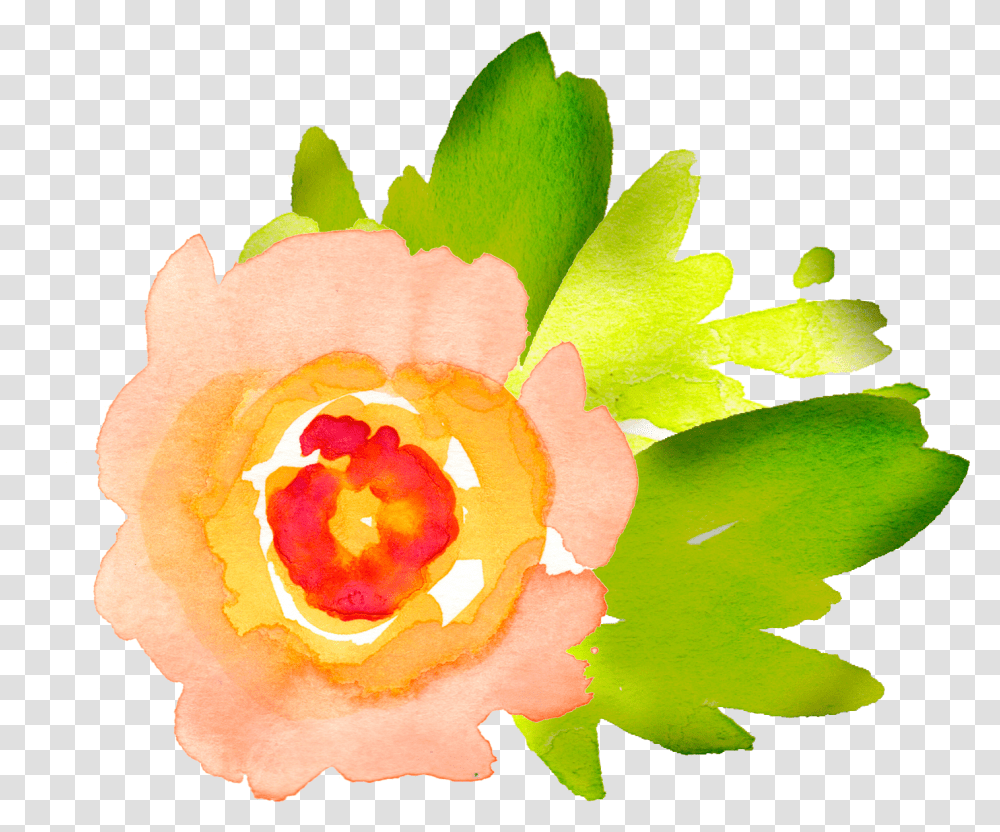 Lime Clipart Watercolour Clip Art Watercolor Flower Images Free, Plant, Rose, Blossom, Leaf Transparent Png