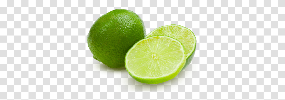 Lime File For Designing Projects Lime, Tennis Ball, Sport, Sports, Citrus Fruit Transparent Png