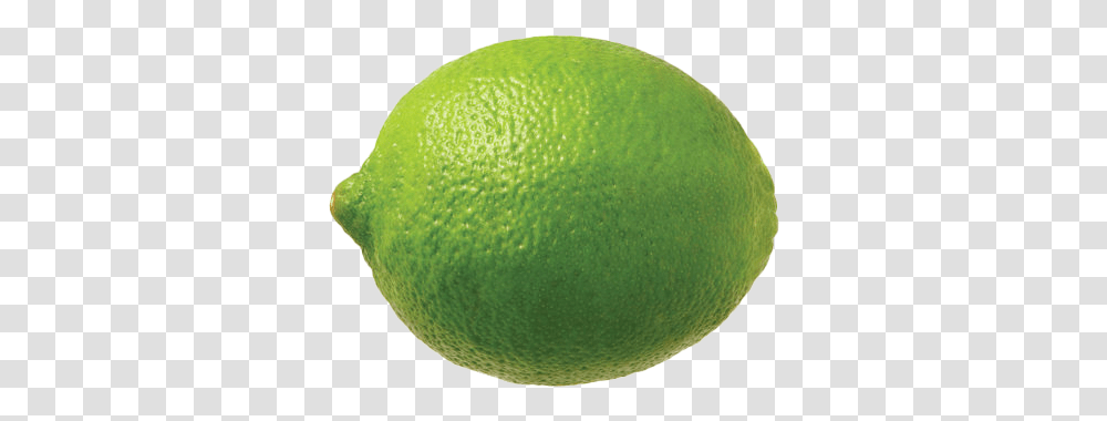 Lime Free Lime Fruit, Tennis Ball, Sport, Sports, Citrus Fruit Transparent Png