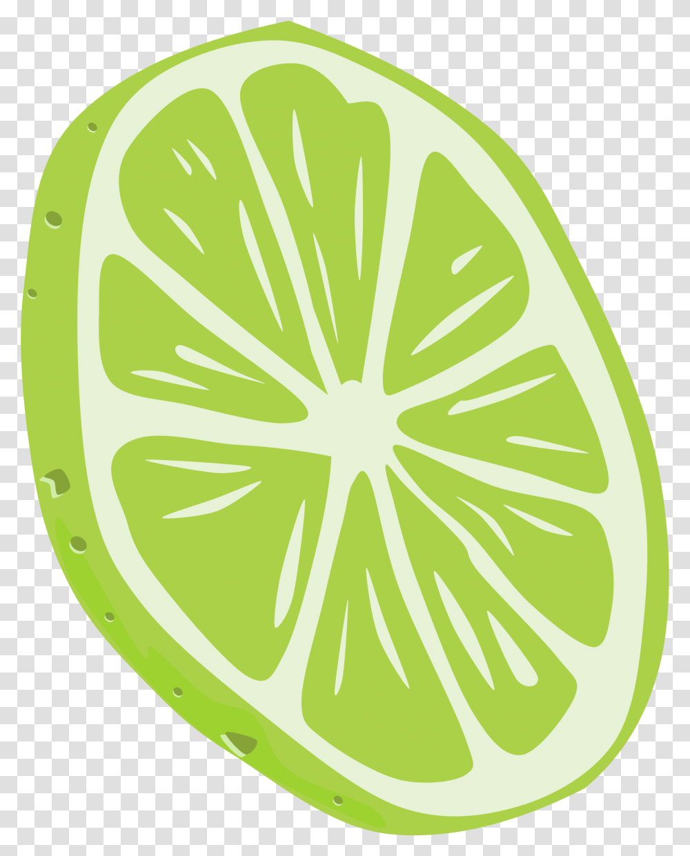 Lime, Fruit, Citrus Fruit, Plant, Food Transparent Png