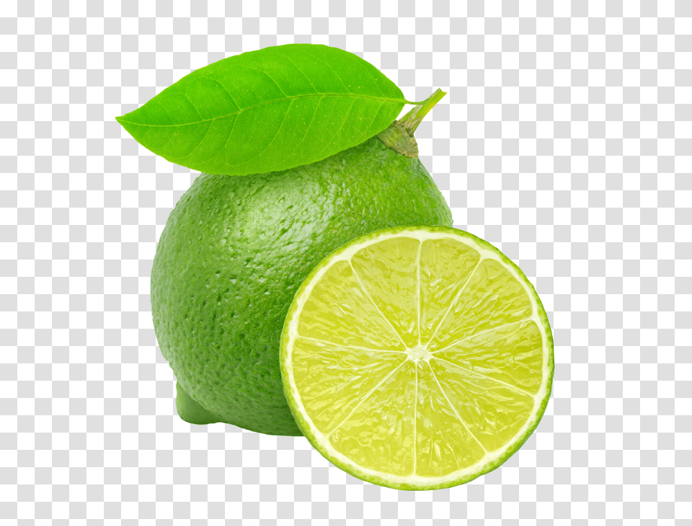 Lime, Fruit, Citrus Fruit, Plant, Food Transparent Png