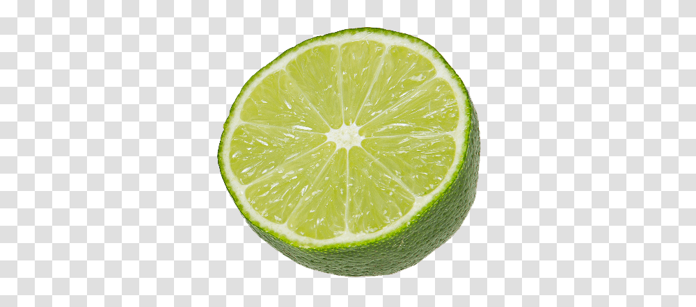 Lime, Fruit, Citrus Fruit, Plant, Food Transparent Png