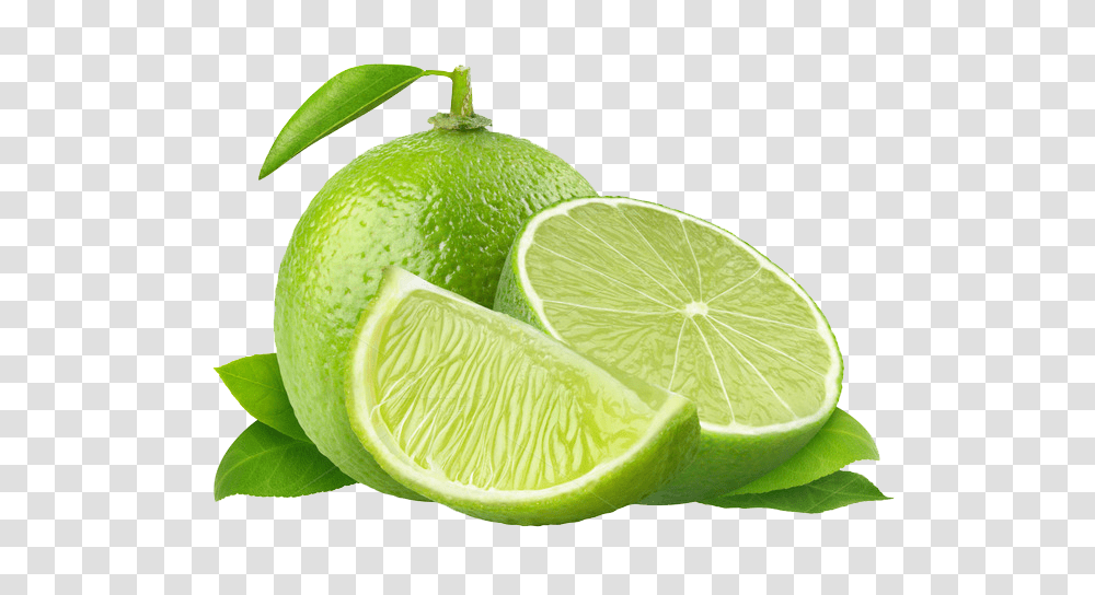 Lime, Fruit, Citrus Fruit, Plant, Food Transparent Png