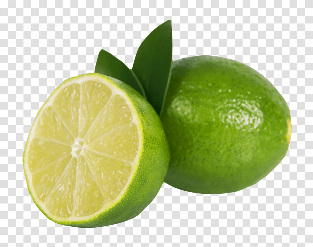 Lime, Fruit, Citrus Fruit, Plant, Food Transparent Png