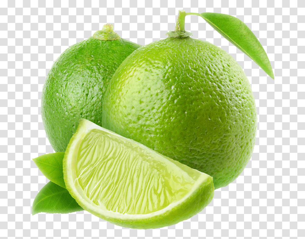 Lime, Fruit, Citrus Fruit, Plant, Food Transparent Png