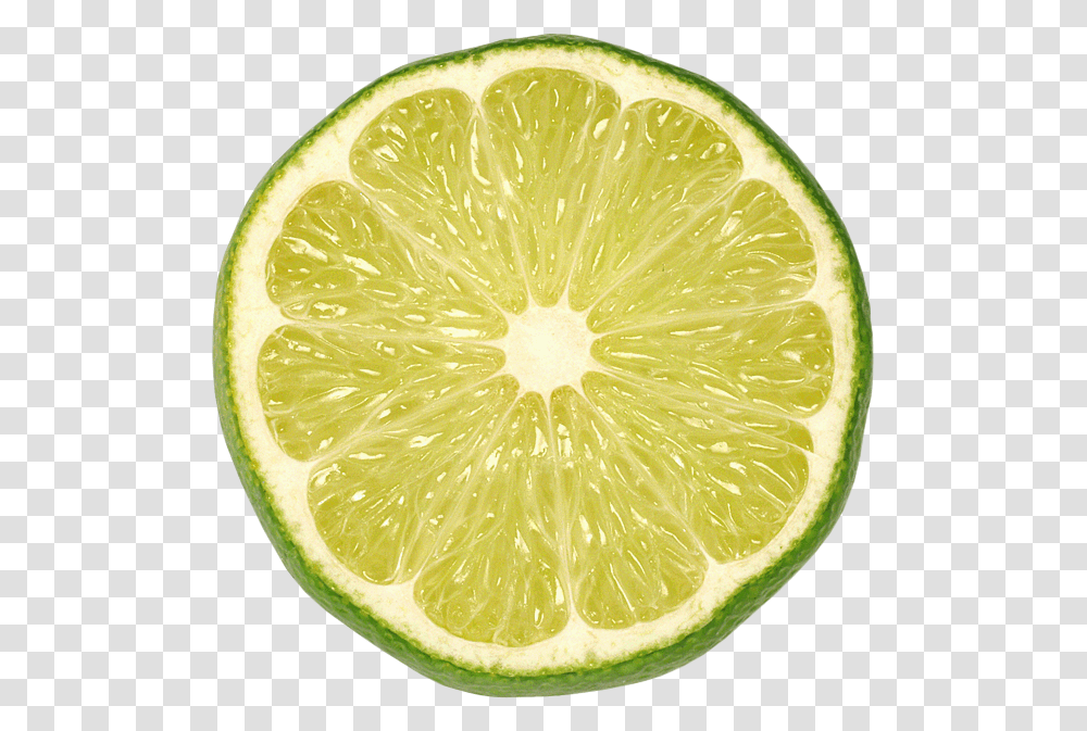 Lime, Fruit, Citrus Fruit, Plant, Food Transparent Png