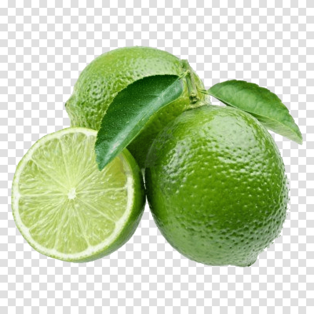 Lime, Fruit, Citrus Fruit, Plant, Food Transparent Png