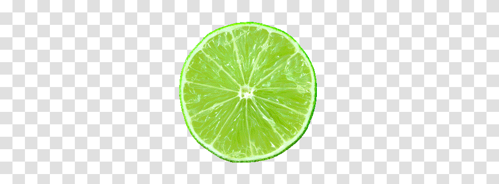 Lime, Fruit, Citrus Fruit, Plant, Food Transparent Png