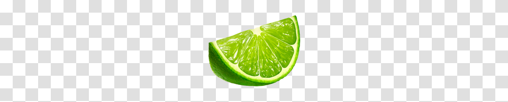 Lime, Fruit, Citrus Fruit, Plant, Food Transparent Png