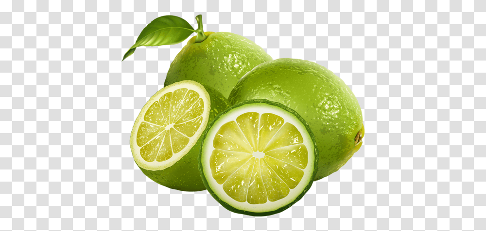 Lime, Fruit, Citrus Fruit, Plant, Food Transparent Png