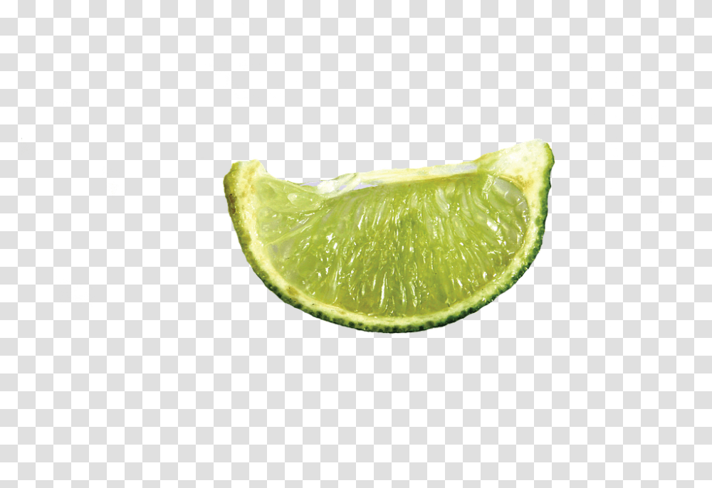 Lime, Fruit, Citrus Fruit, Plant, Food Transparent Png