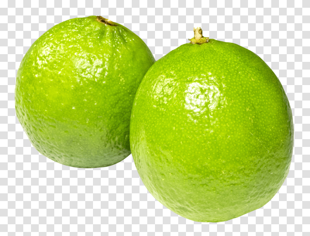 Lime, Fruit, Citrus Fruit, Plant, Food Transparent Png