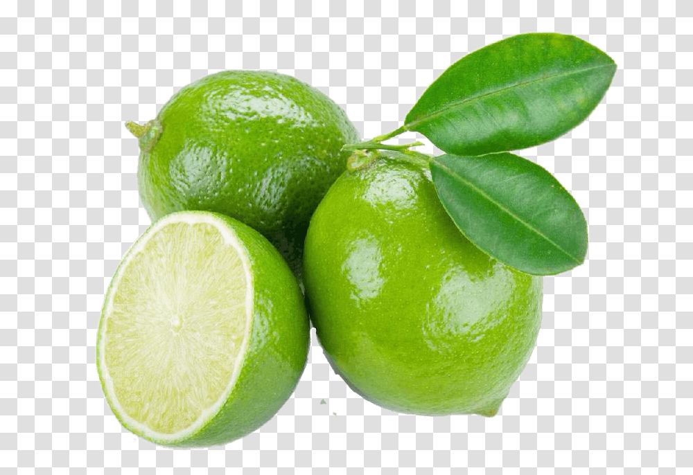 Lime Fruit In Tagalog, Citrus Fruit, Plant, Food, Lemon Transparent Png