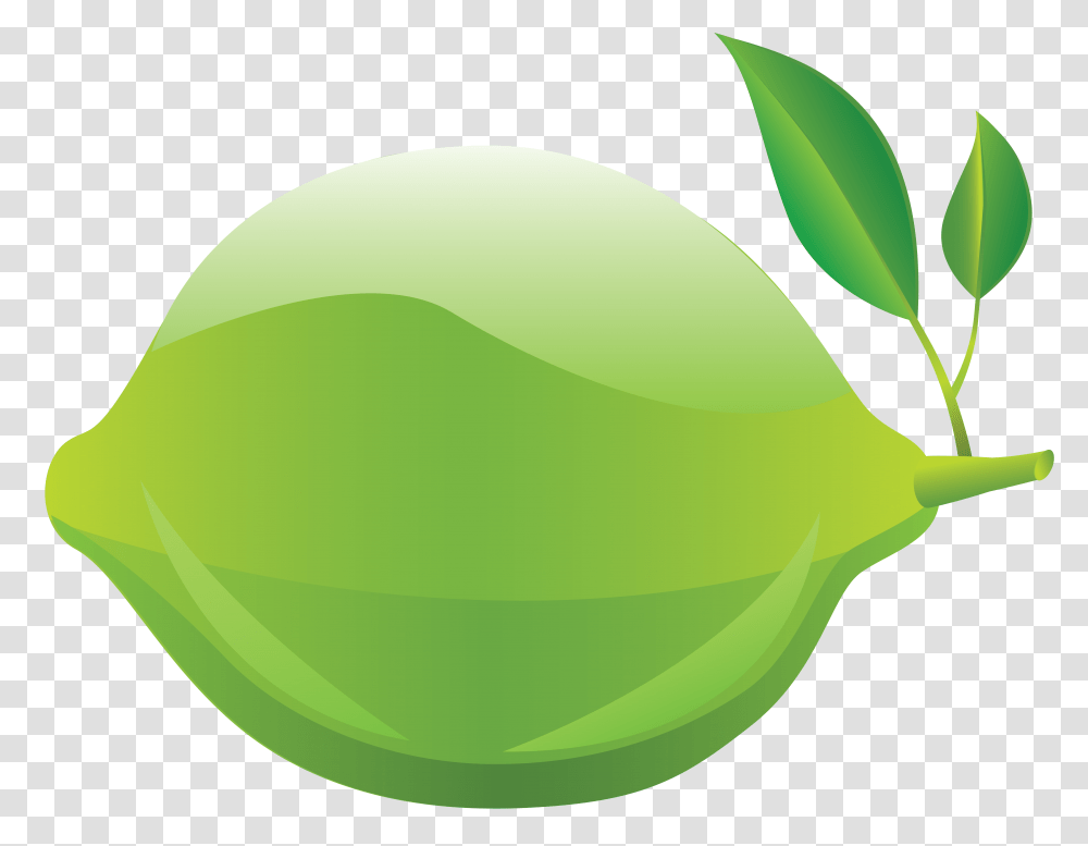 Lime, Fruit, Plant, Food, Green Transparent Png