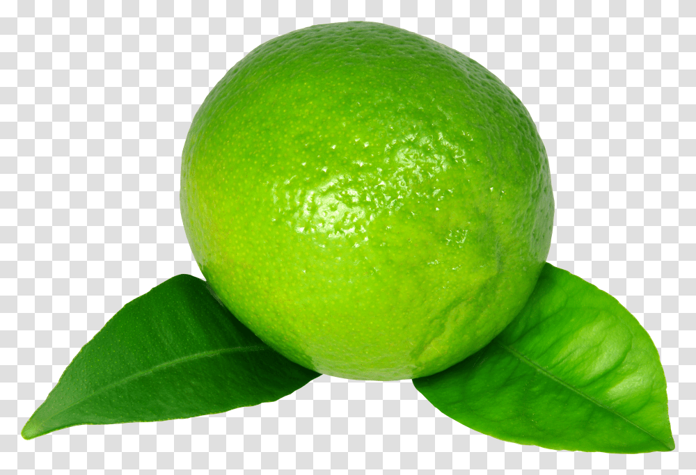 Lime, Fruit Transparent Png