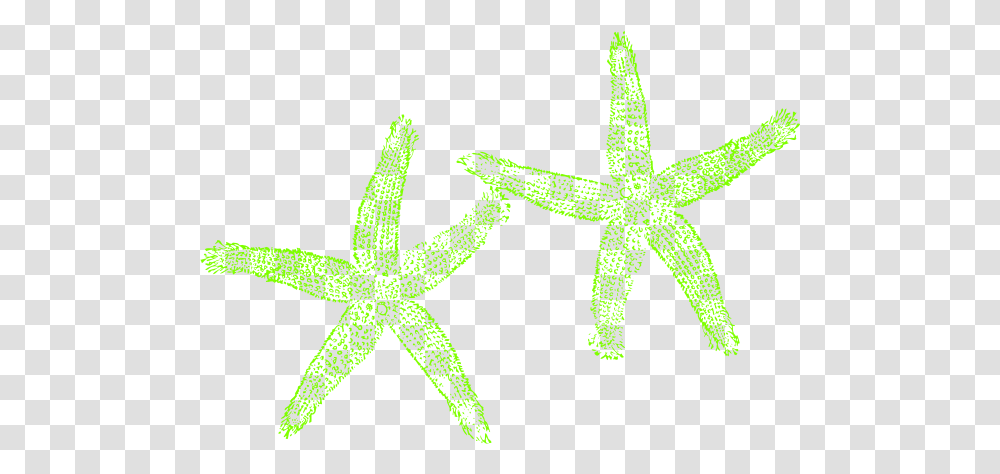 Lime Green Starfish Clipart Lovely, Invertebrate, Sea Life, Animal, Lizard Transparent Png