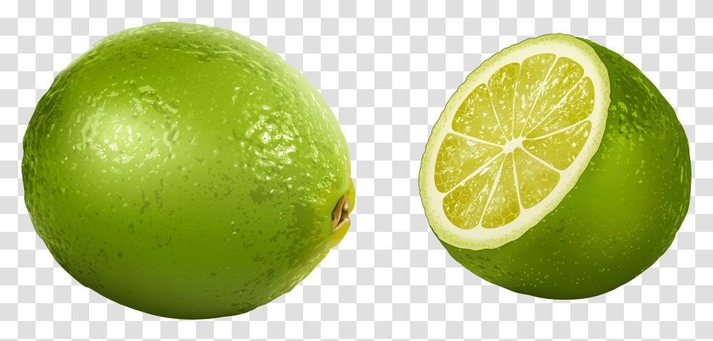 Lime Icon Lime, Tennis Ball, Sport, Sports, Citrus Fruit Transparent Png