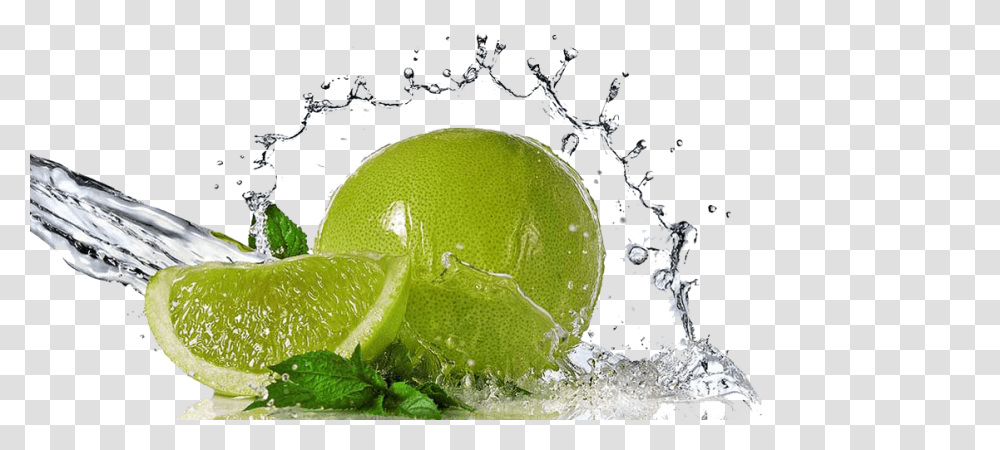 Lime Juice Splash Green Water Lemon, Citrus Fruit, Plant, Food, Snake Transparent Png