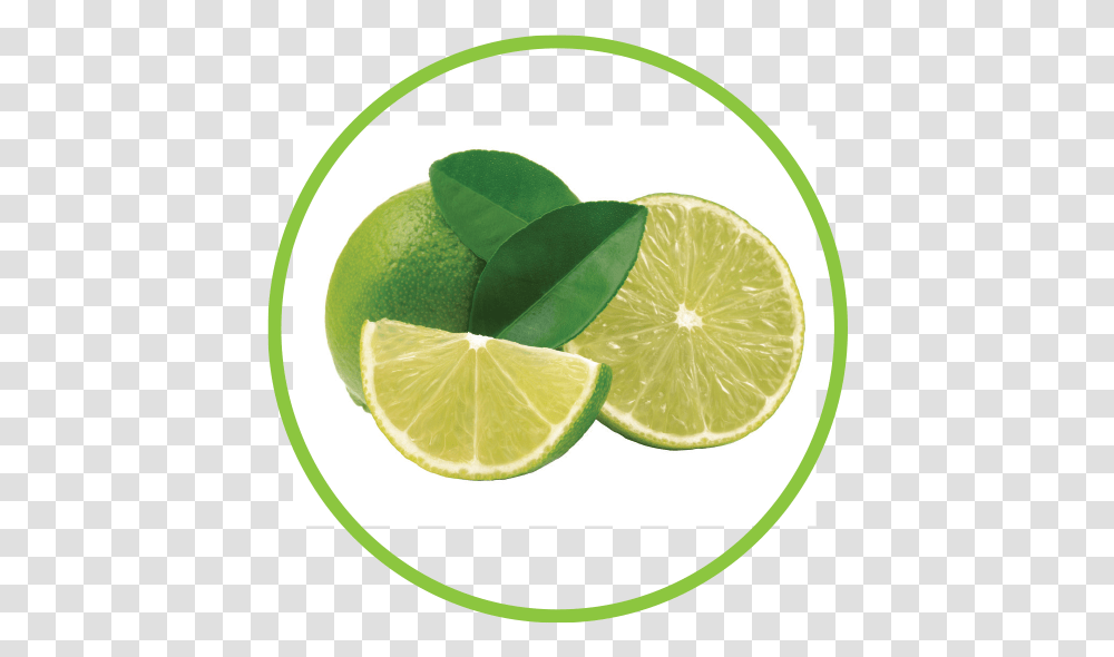 Lime Key Lime, Citrus Fruit, Plant, Food, Green Transparent Png