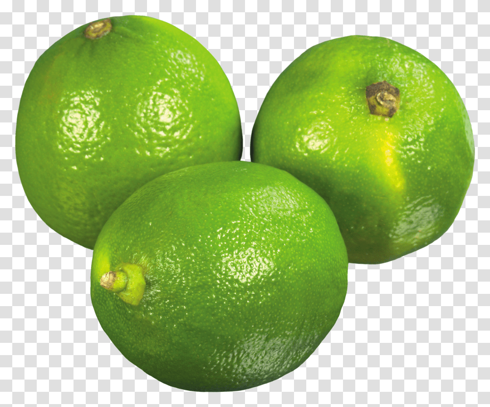 Lime Lime Transparent Png