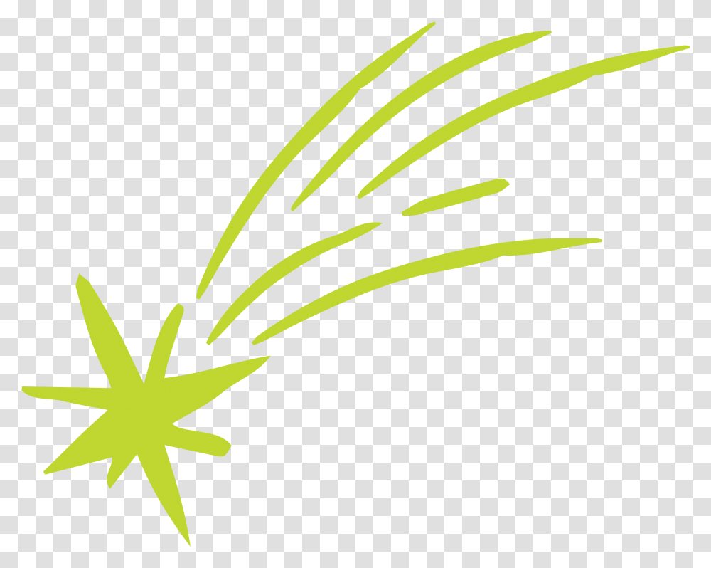 Lime Shooting Star Yellow, Plant, Leaf, Flower, Blossom Transparent Png