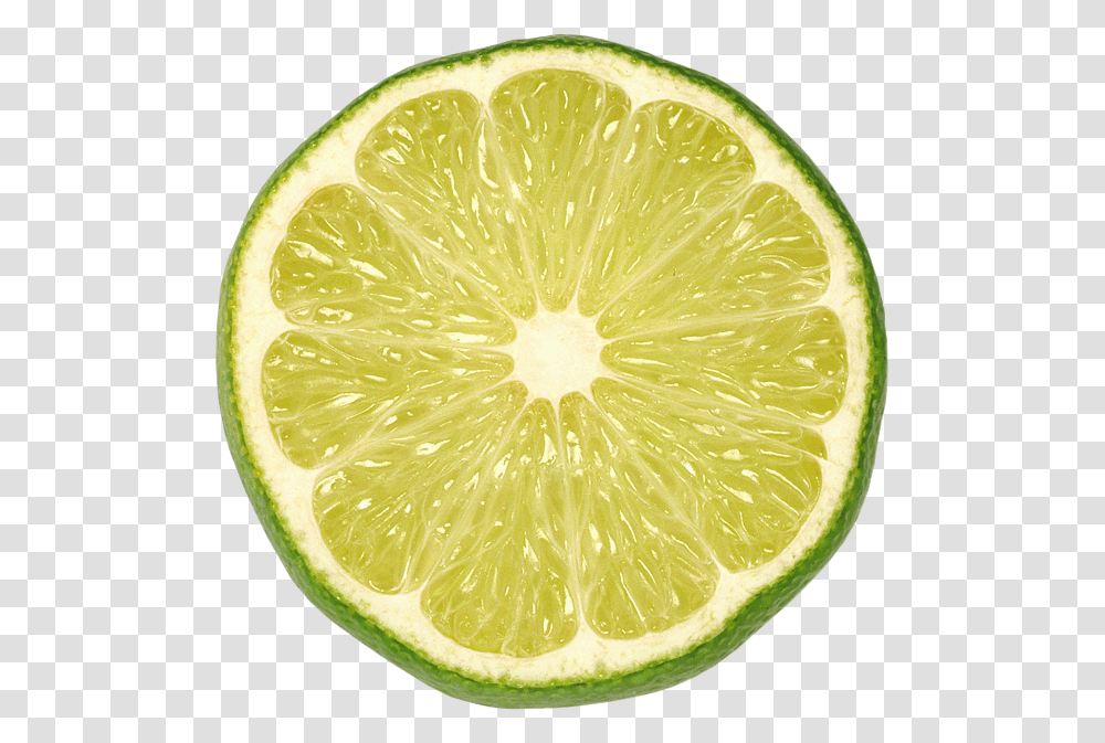 Lime Slice Background, Citrus Fruit, Plant, Food, Orange Transparent Png
