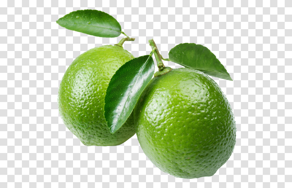 Lime Slice Cavity In Real Life, Citrus Fruit, Plant, Food, Tennis Ball Transparent Png
