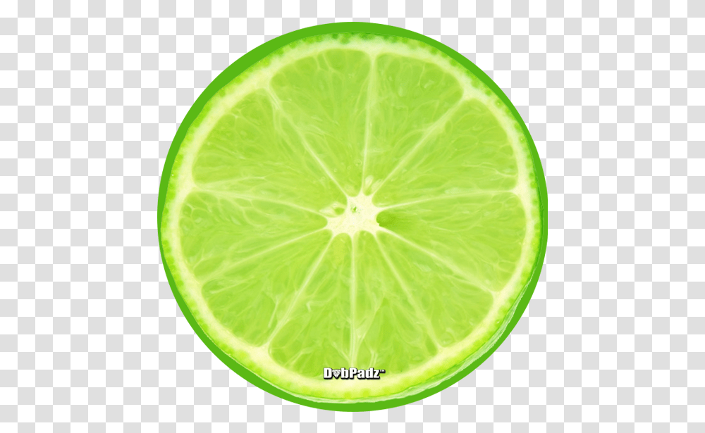 Lime Slice Dabpadz Lime Slice, Tennis Ball, Sport, Sports, Citrus Fruit Transparent Png
