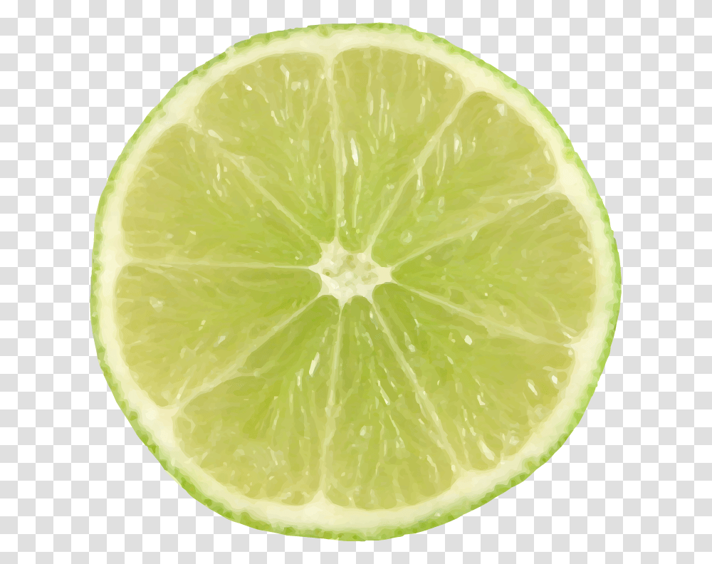 Lime Slice Lime Slice Background, Citrus Fruit, Plant, Food, Orange Transparent Png