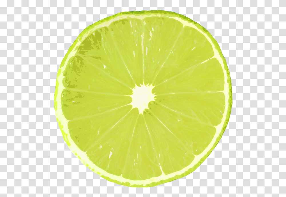 Lime Slice Of Lemon, Citrus Fruit, Plant, Food, Tennis Ball Transparent Png