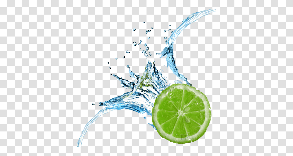 Lime Splash Image Lemon Drop In Water, Citrus Fruit, Plant, Food Transparent Png