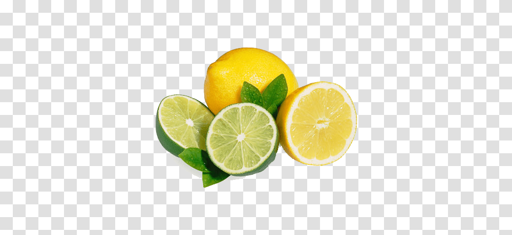 Lime Thyme And Lemon Soap, Citrus Fruit, Plant, Food, Orange Transparent Png