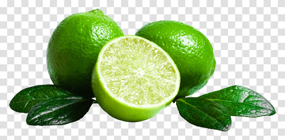 Lime Transparent Png