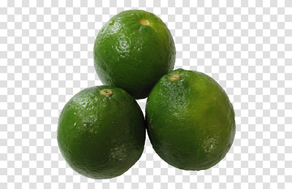 Lime Wedge Lime, Citrus Fruit, Plant, Food, Tennis Ball Transparent Png