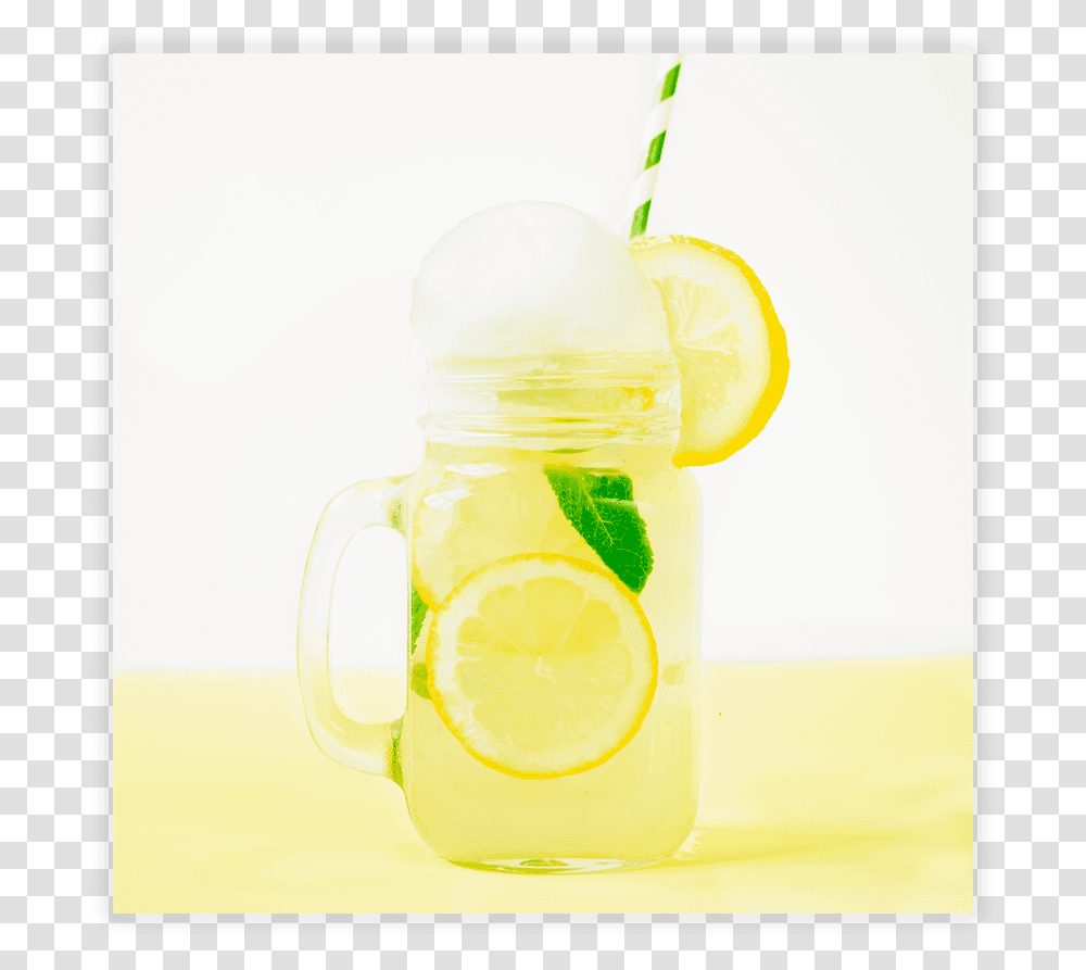 Limeade, Lemonade, Beverage, Drink, Potted Plant Transparent Png
