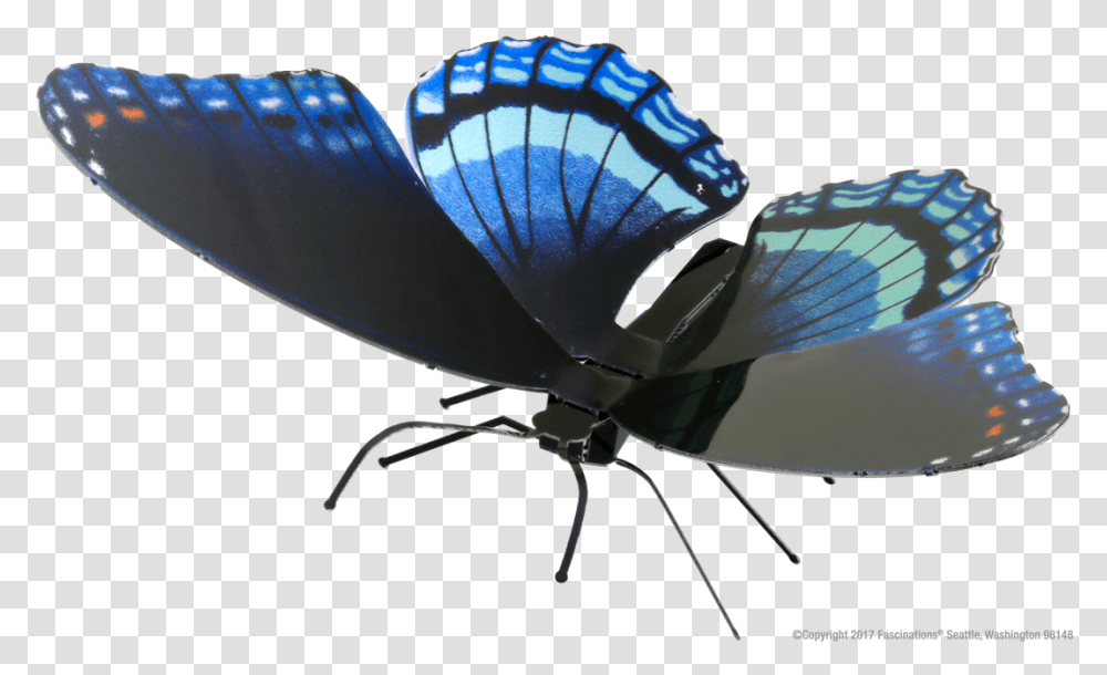 Limenitis Arthemis, Insect, Invertebrate, Animal, Butterfly Transparent Png