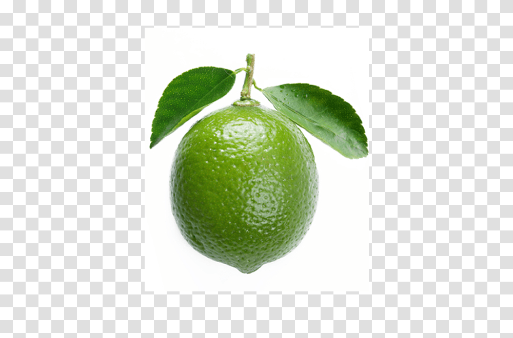 Limes Fw, Tennis Ball, Sport, Sports, Citrus Fruit Transparent Png