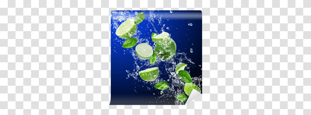 Limes In Water Splash Wall Mural • Pixers We Live To Change Earth, Citrus Fruit, Plant, Food, Beverage Transparent Png