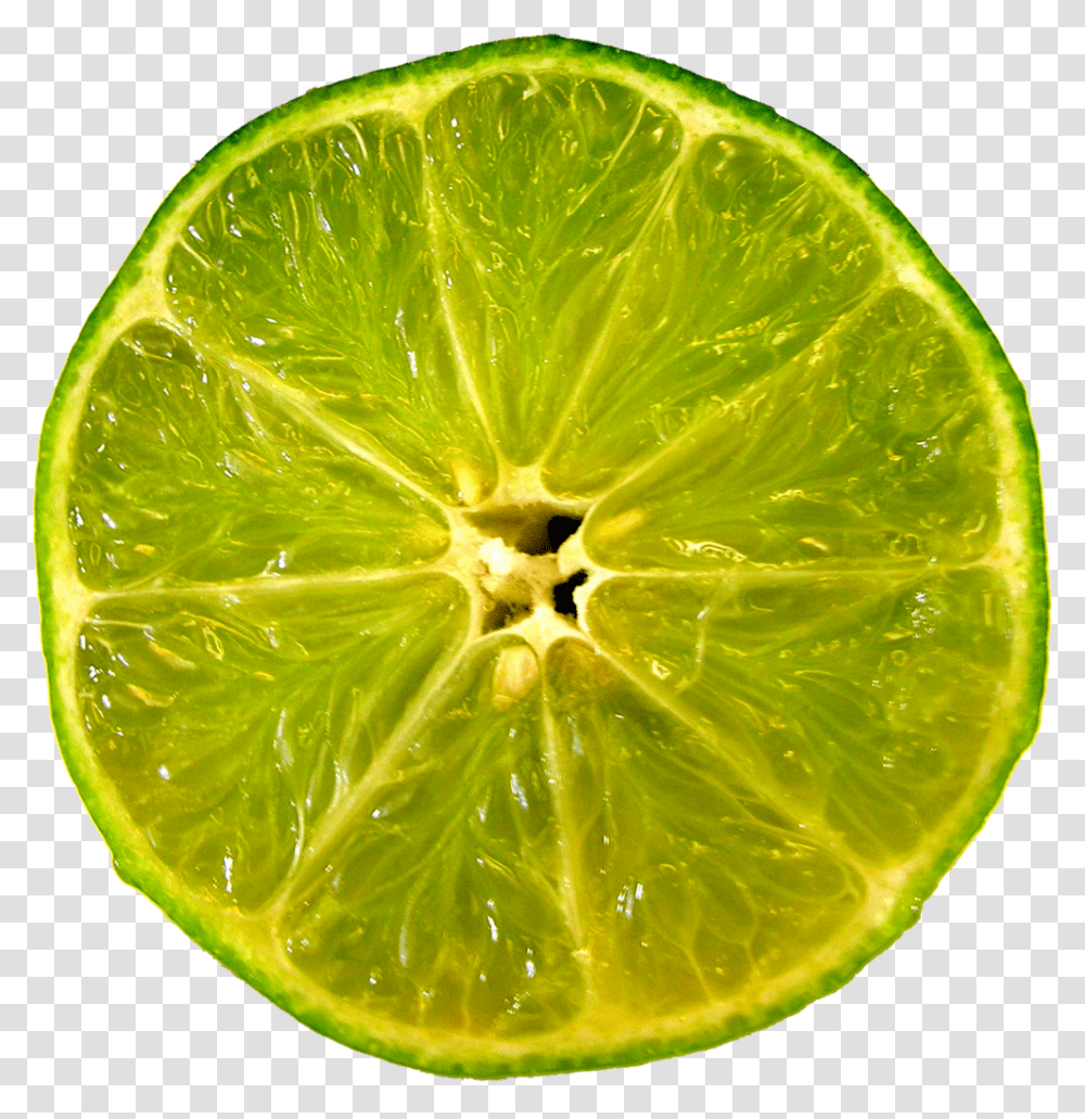 Limes Key Lime, Citrus Fruit, Plant, Food, Pineapple Transparent Png