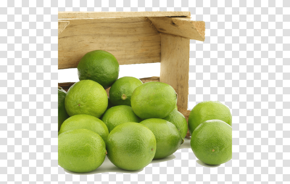 Limes Lime, Plant, Citrus Fruit, Food Transparent Png