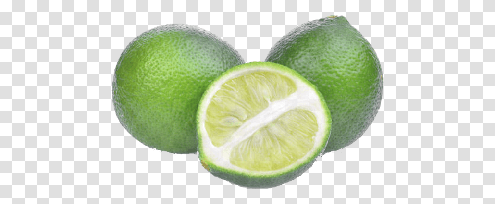 Limes Persian Lime, Tennis Ball, Sport, Sports, Citrus Fruit Transparent Png