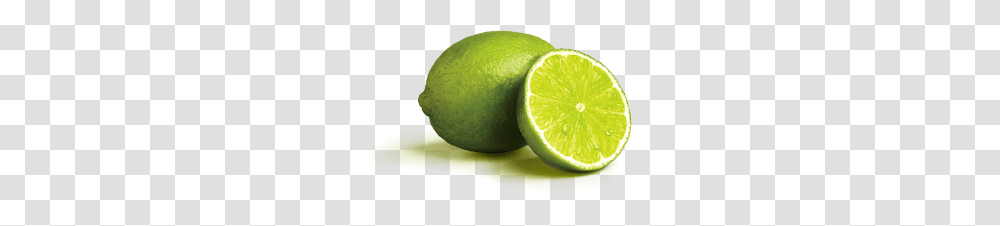 Limes Wonderful Citrus, Tennis Ball, Sport, Sports, Citrus Fruit Transparent Png