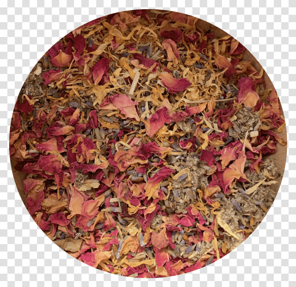 Limina Well Autumn, Leaf, Plant, Rug, Tabletop Transparent Png