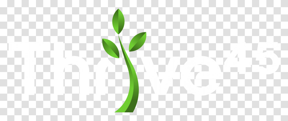 Limited Time Offer Graphic Design, Plant, Green, Sprout, Leaf Transparent Png