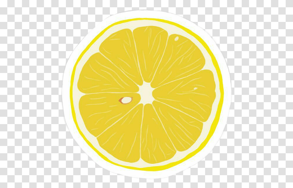 Limon, Citrus Fruit, Plant, Food, Lemon Transparent Png